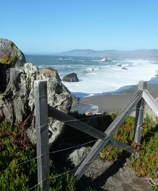 Beobachte Vögel in Bodega Bay